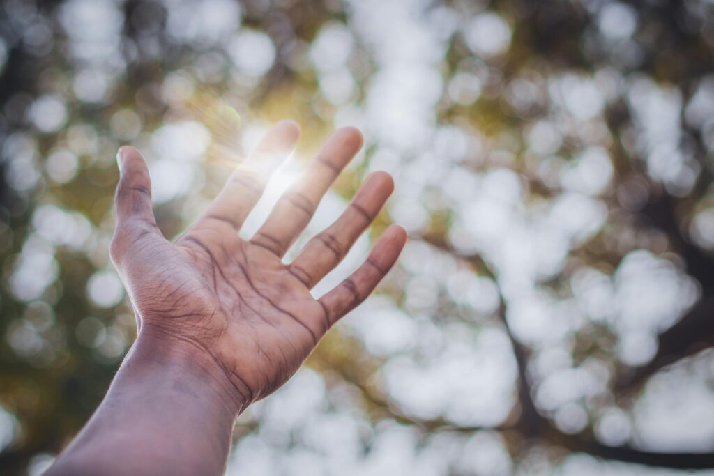 sonhos que nunca se apagam